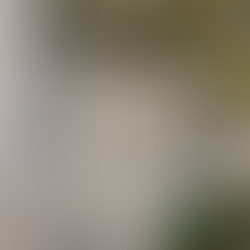 Burgundy & Jura | Domaine Dujac