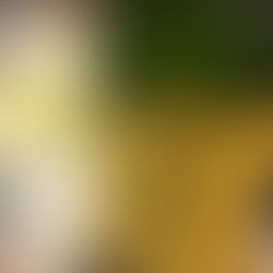 【 我的半個買手日誌｜二 】Phiilippe Gonet Roy Soleil Grand Cru