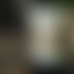 1994 Vieux Chateau Certan