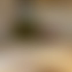 Meo Camuzet Clos de Vougeot 2004 