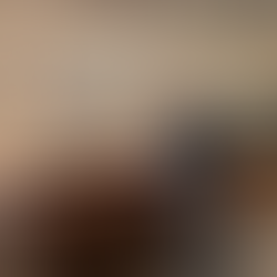 Burgundy & Jura | Claire Naudin Domaine Naudin Ferrand