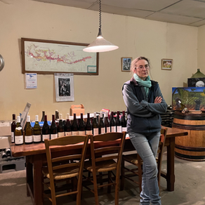 Burgundy & Jura | Claire Naudin Domaine Naudin Ferrand