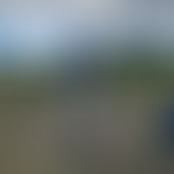 Loire Valley | La Coulée de Serrant