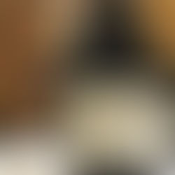 Domaine Dujac Clos Saint Denis 2016