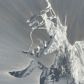 北京藝術展｜Archive of Nature by Xue Feng