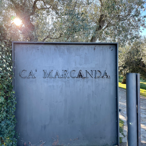 Italy | Ca’ Marcanda