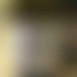 2010 Domaine de Montille Vosne Romanee Aux Malconsorts Christiane