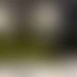 寂靜 | Jacques Frederic Mugnier Les Amoureuses 2007