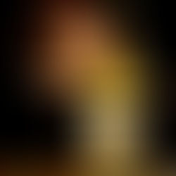 Domaine Comte Georges de Vogue Bonnes Mares 2018