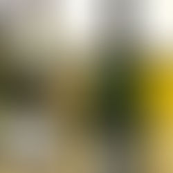 【只要幸福過】Champagne Drouilly LV  Œil de perdrix