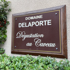 Loire Valley | Domaine Vincent Delaporte