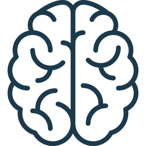 brain.png