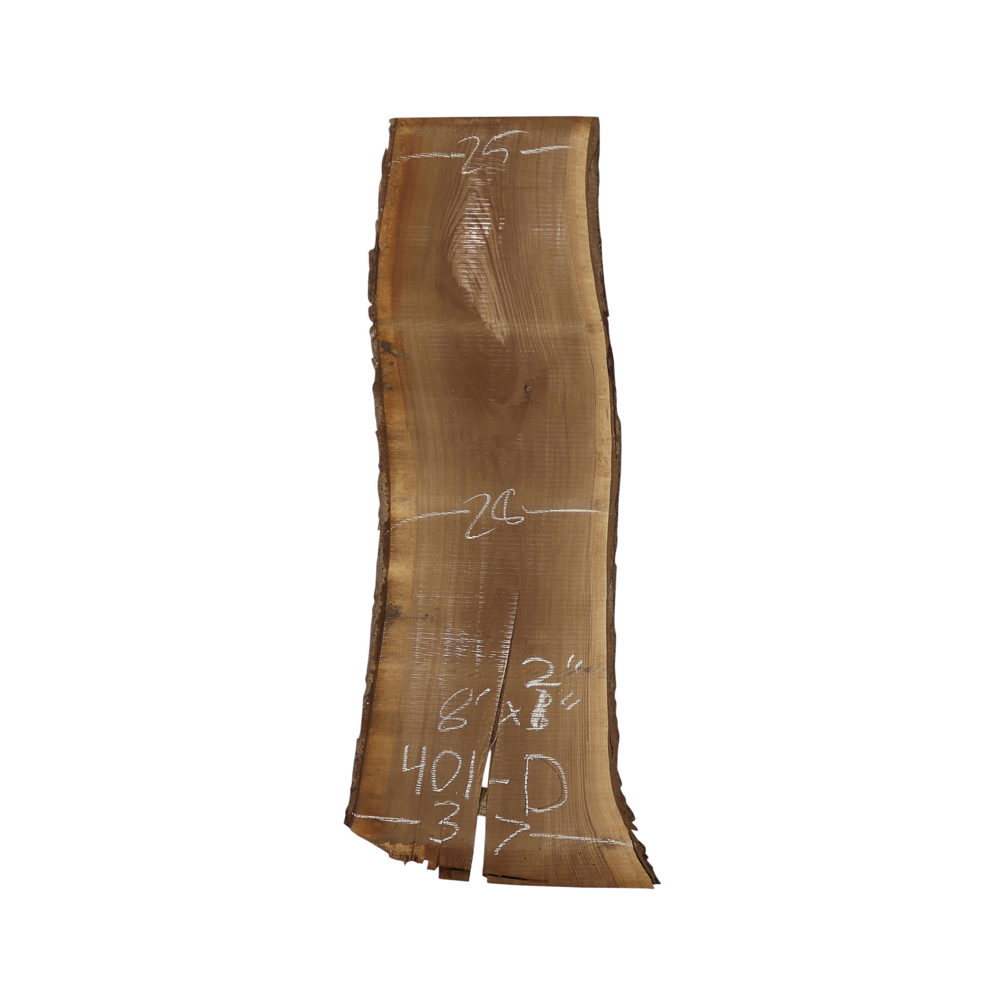 8' Walnut Slab (401D)