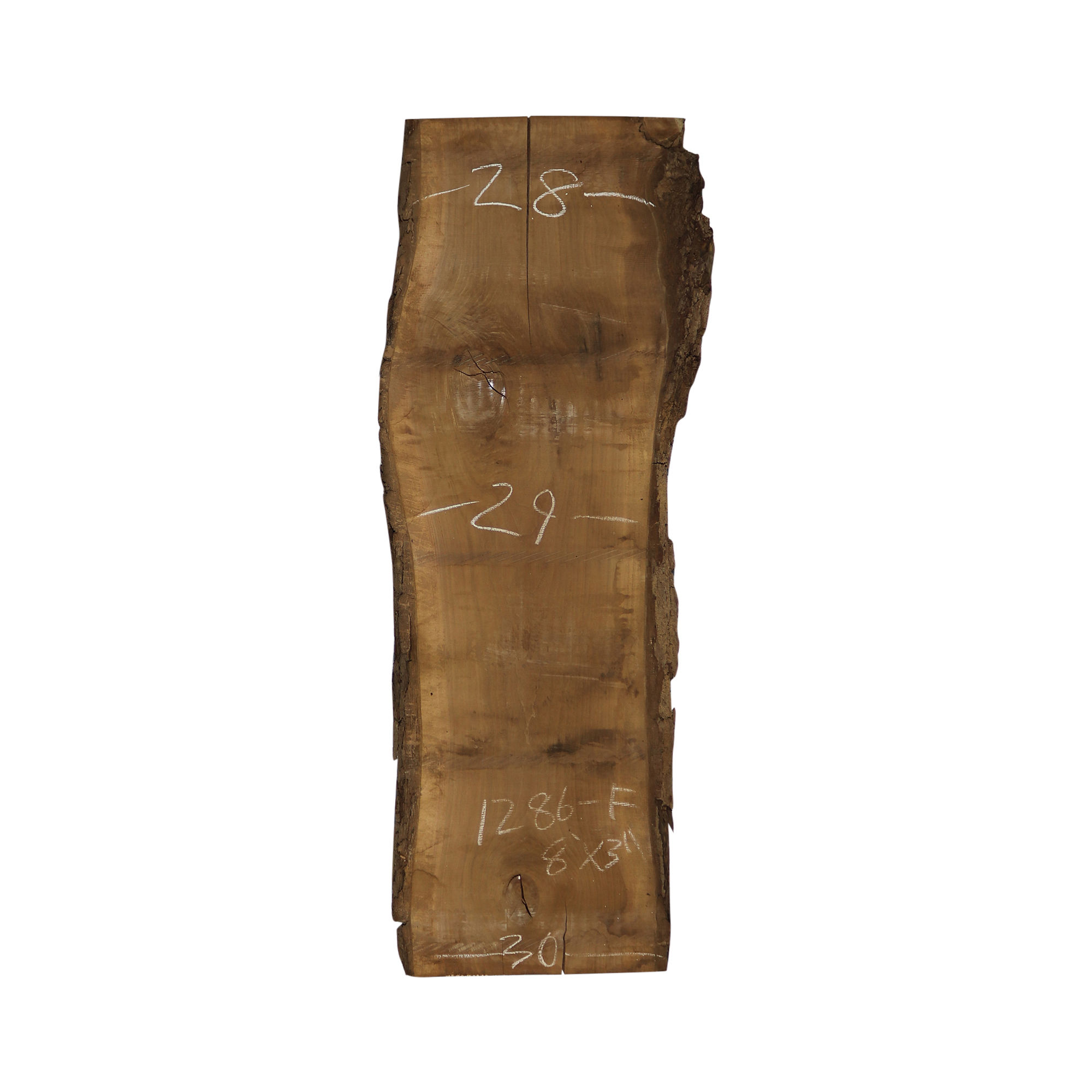 8' Walnut Slab (1286F)
