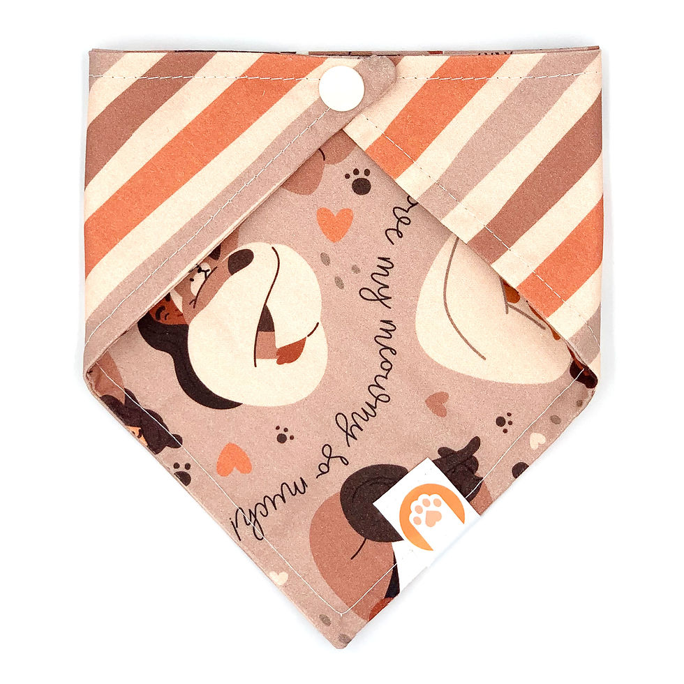 Bandana "Meowmy's Day"