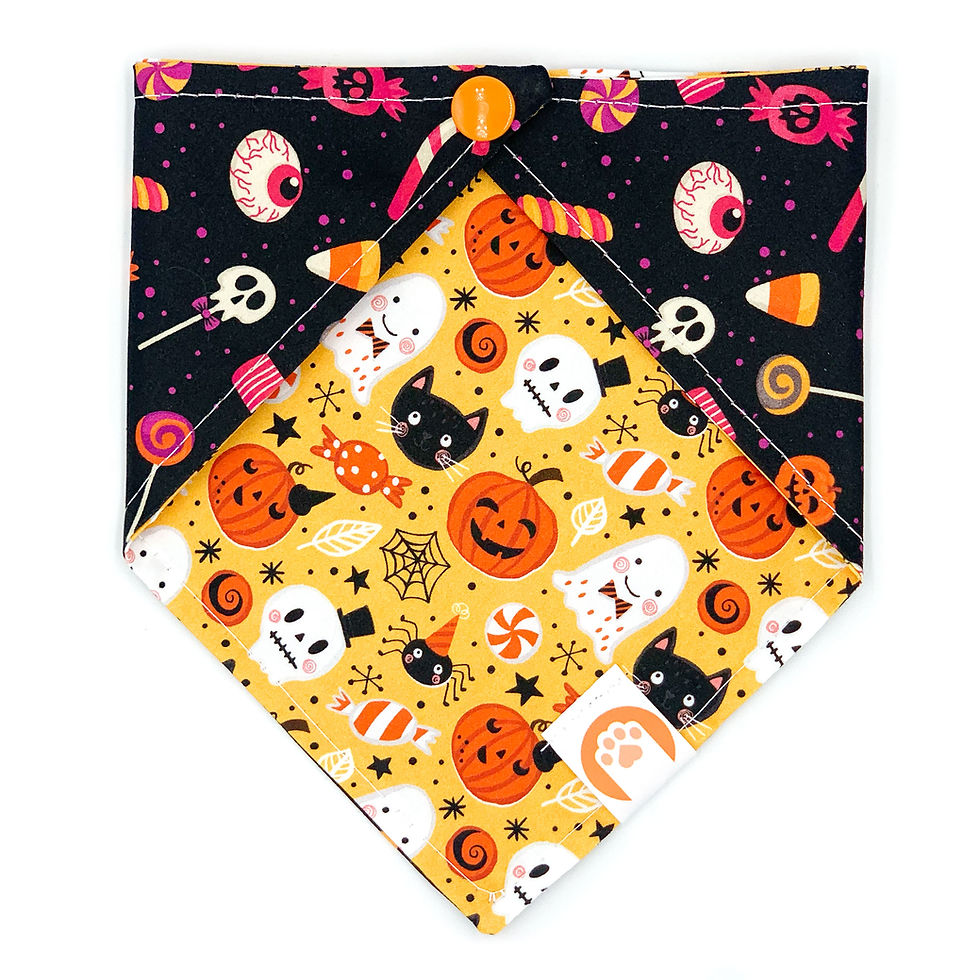 Bandana "Carnival Of Terrors"