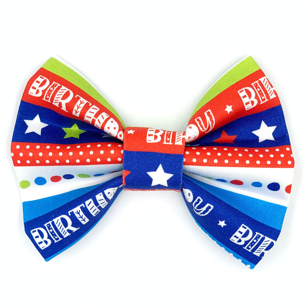 Bowtie "I'm A Birthday Boy" - Colored Stripes