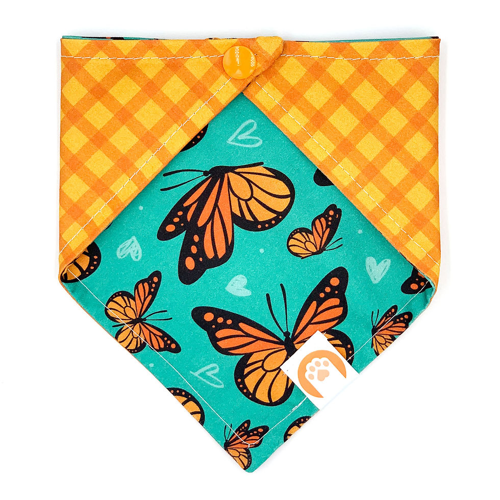 "Supposed To Change" Bandana