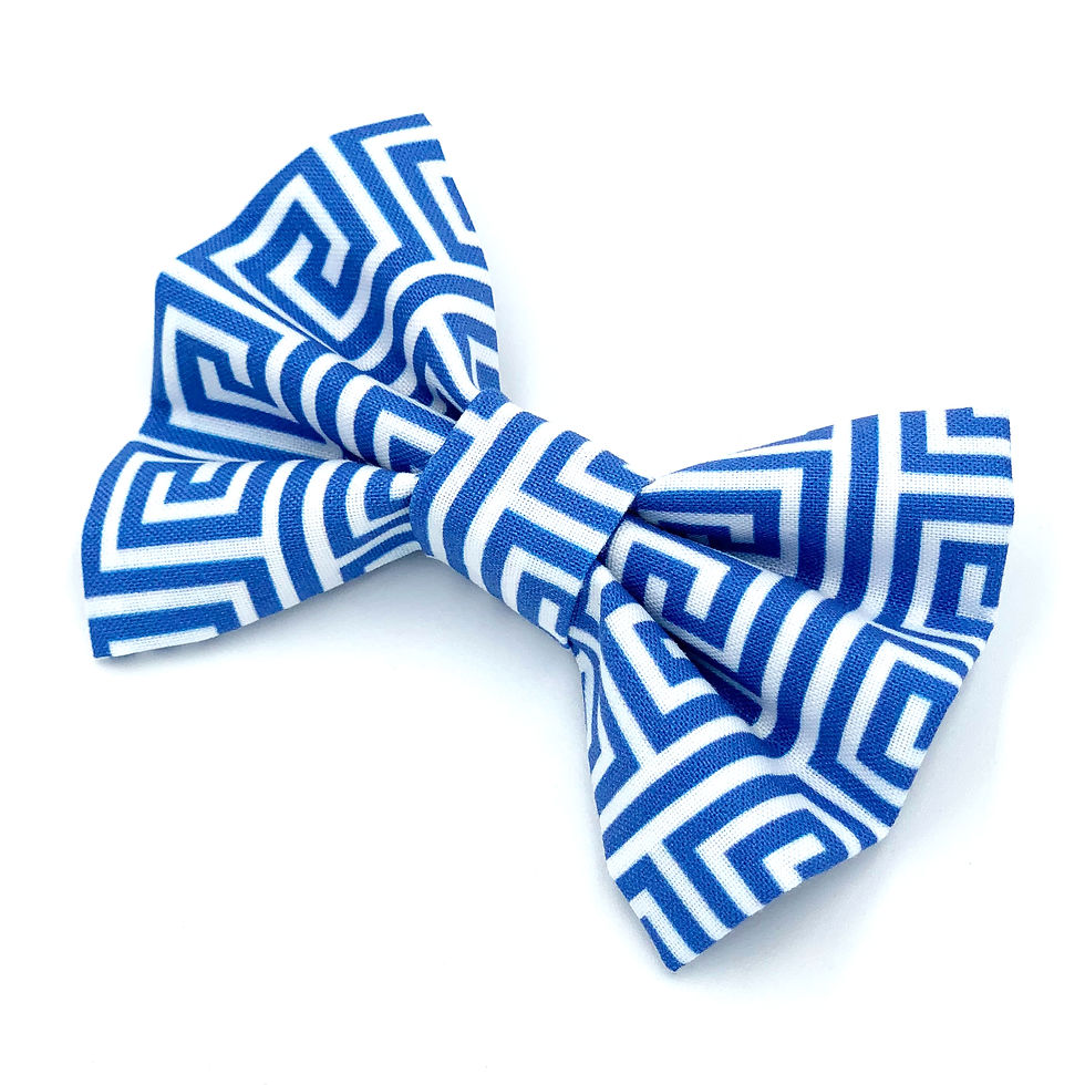 Thumbnail: Bowtie "Hercules" - Blue Curls