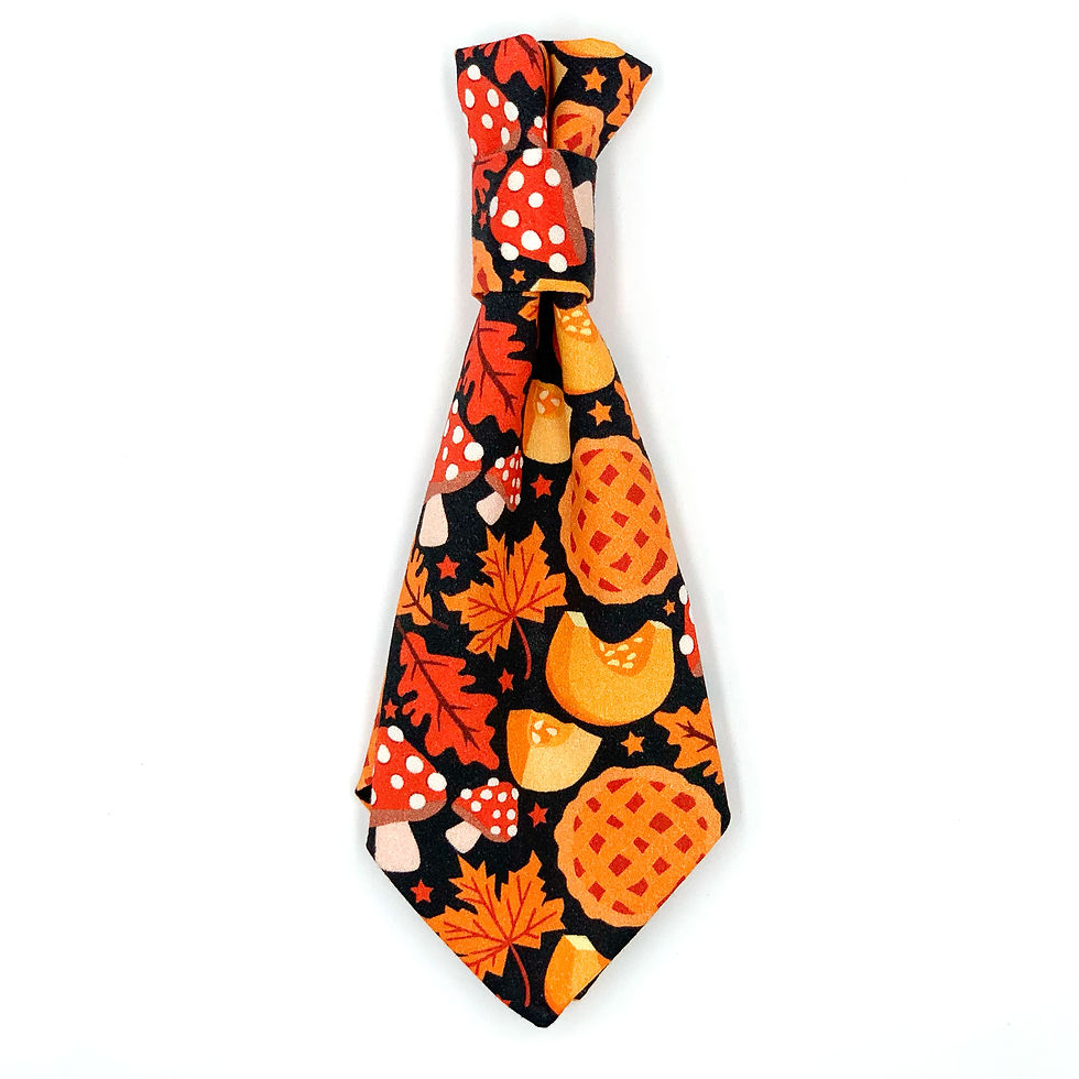 Tie "Autumn Slice"