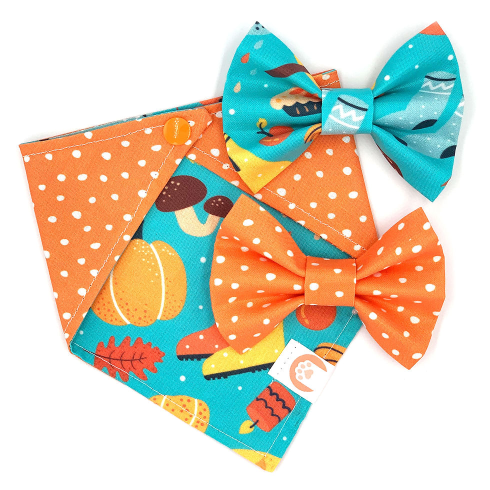 Set Bandana + Bowties "Falling Leaves"