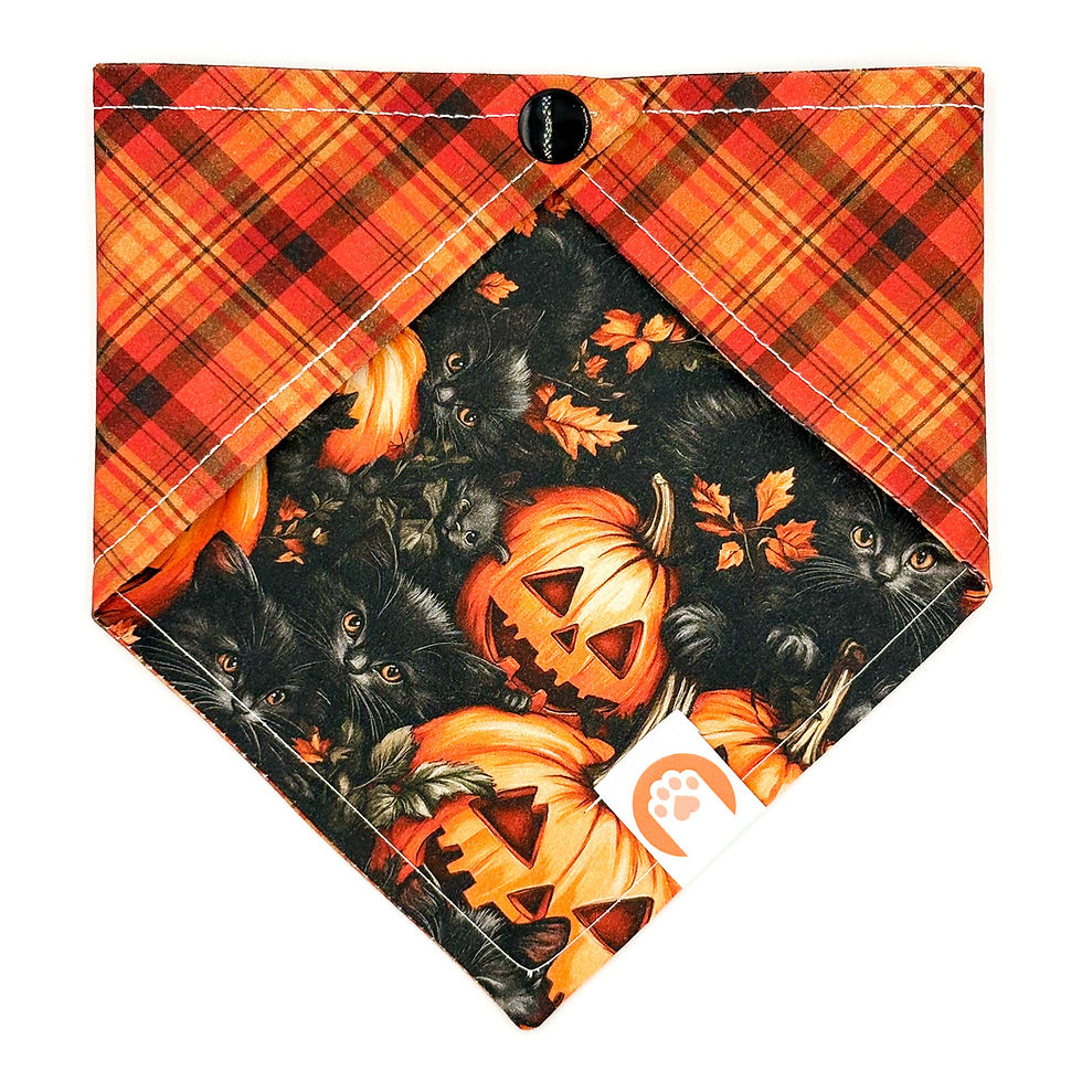 Thumbnail: Set Bandana + Bowties "Acorn Squirrel Forest"