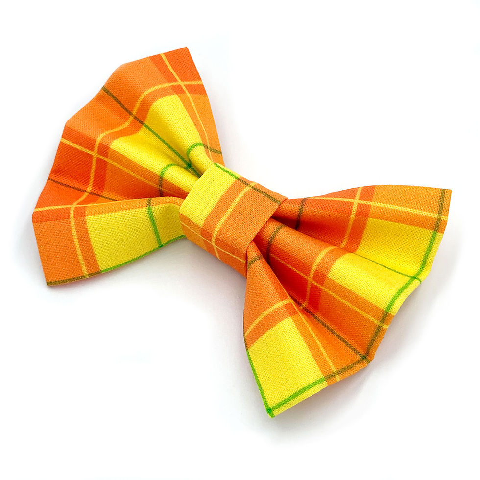 Thumbnail: Bowtie "Pumpkin Pie Lover" - Tartan Orange
