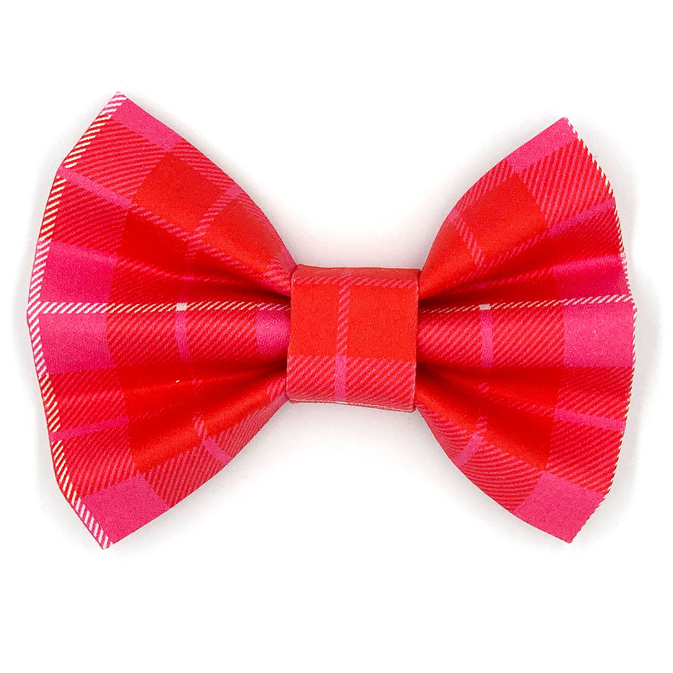 Bowtie "Missing You Pig Time" - Plaid Fuchsia