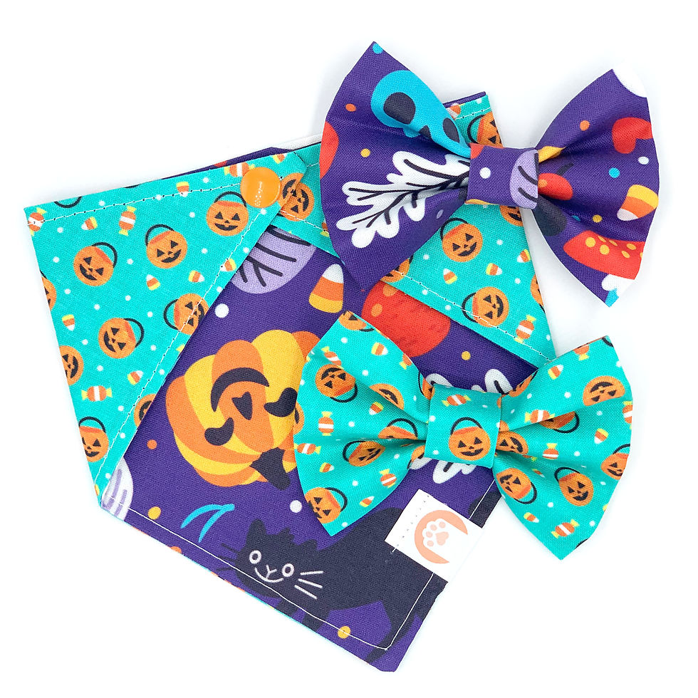Set Bandana + Bowties "Spooky Treats Night"