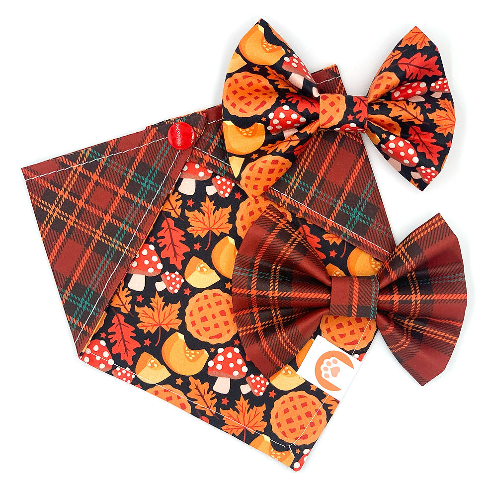 Set Bandana + Bowties "Autumn Slice"