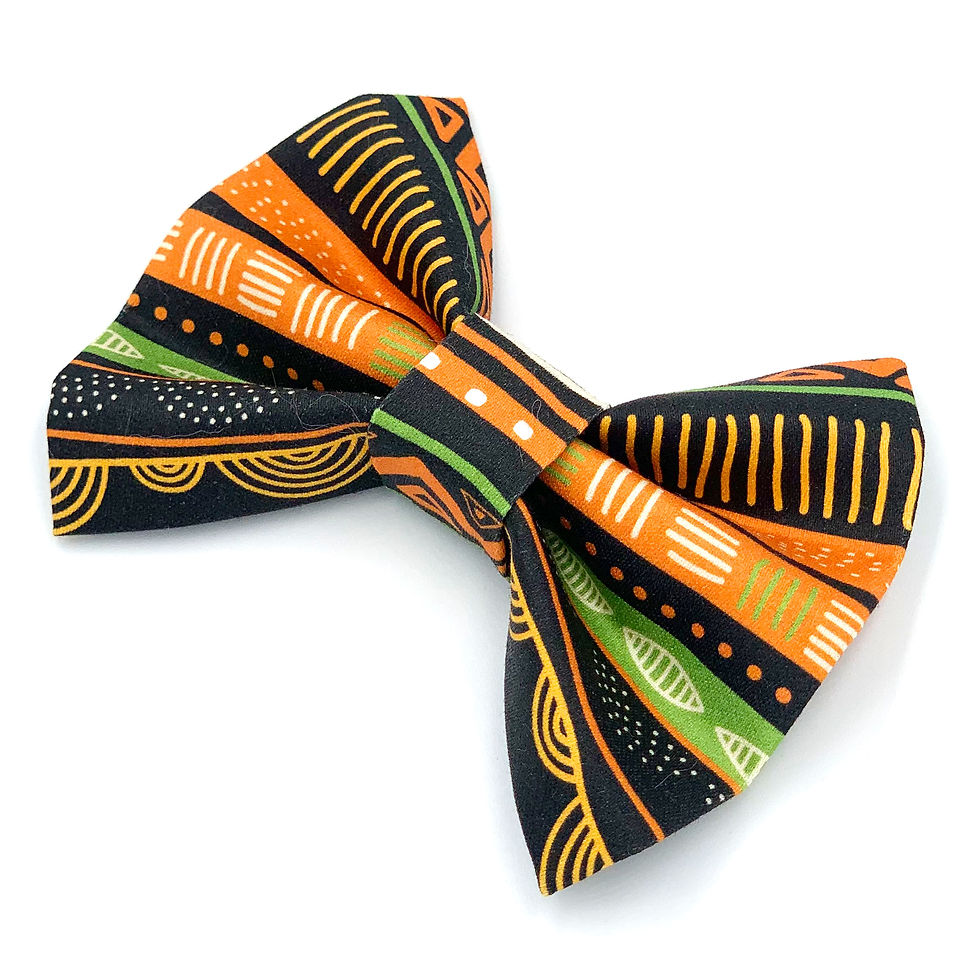Thumbnail: Bowtie "Come To The Wild Side" - Africa Stripes