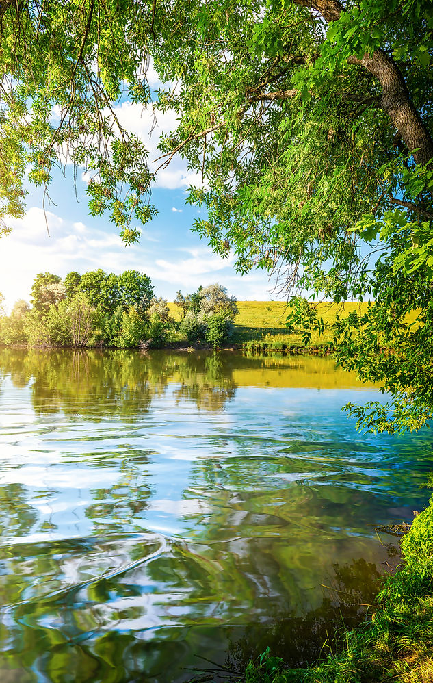 landscape-pond-and-forest-2025-03-05-10-06-39-utc.jpg