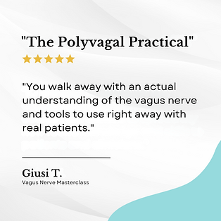 Vagus Nerve (4).png