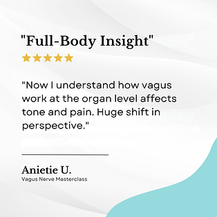 Vagus Nerve (5).png
