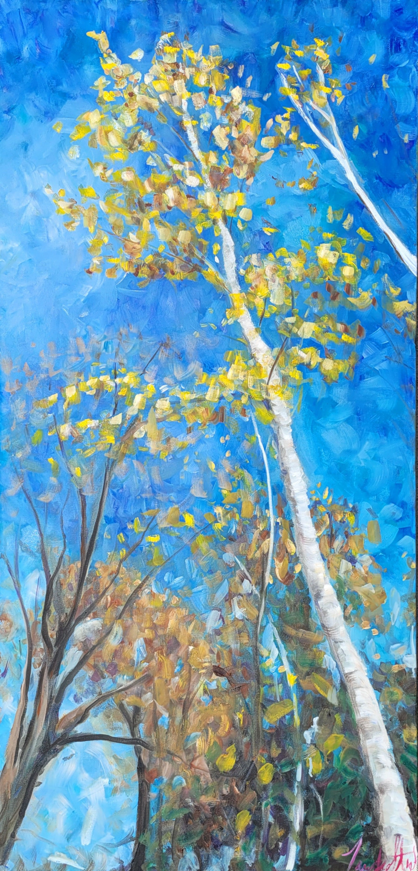 TOWERING BIRCH Sold