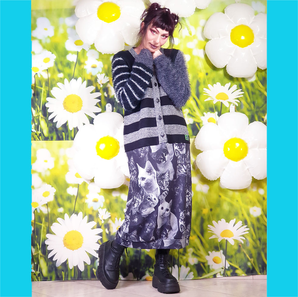 Miniature : Robe Stray Cats