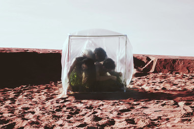 Fugite, Mision 2030, pato mendez, dancers, Performers, art, arte, transdisciplina, cuerpo, danza