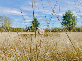 Nidum, eventos, art, events, bodas, wedding, arte, dancers, performance