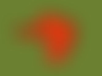 I'm quite illiterate, but I read a lot.