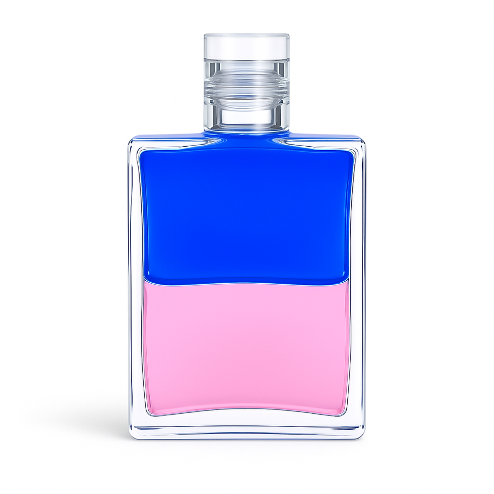EQUILIBRIUM B20 - Blau / Rosa