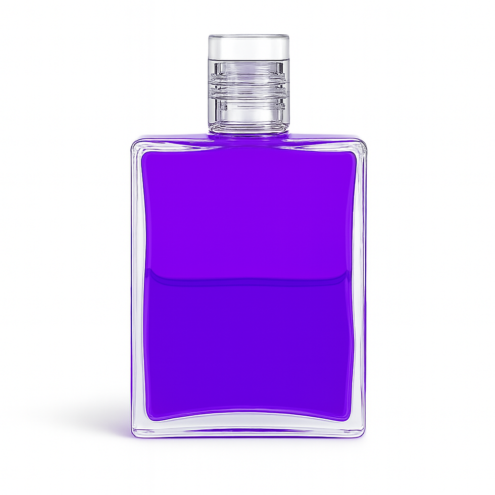 EQUILIBRIUM B16 - Violett / Violett