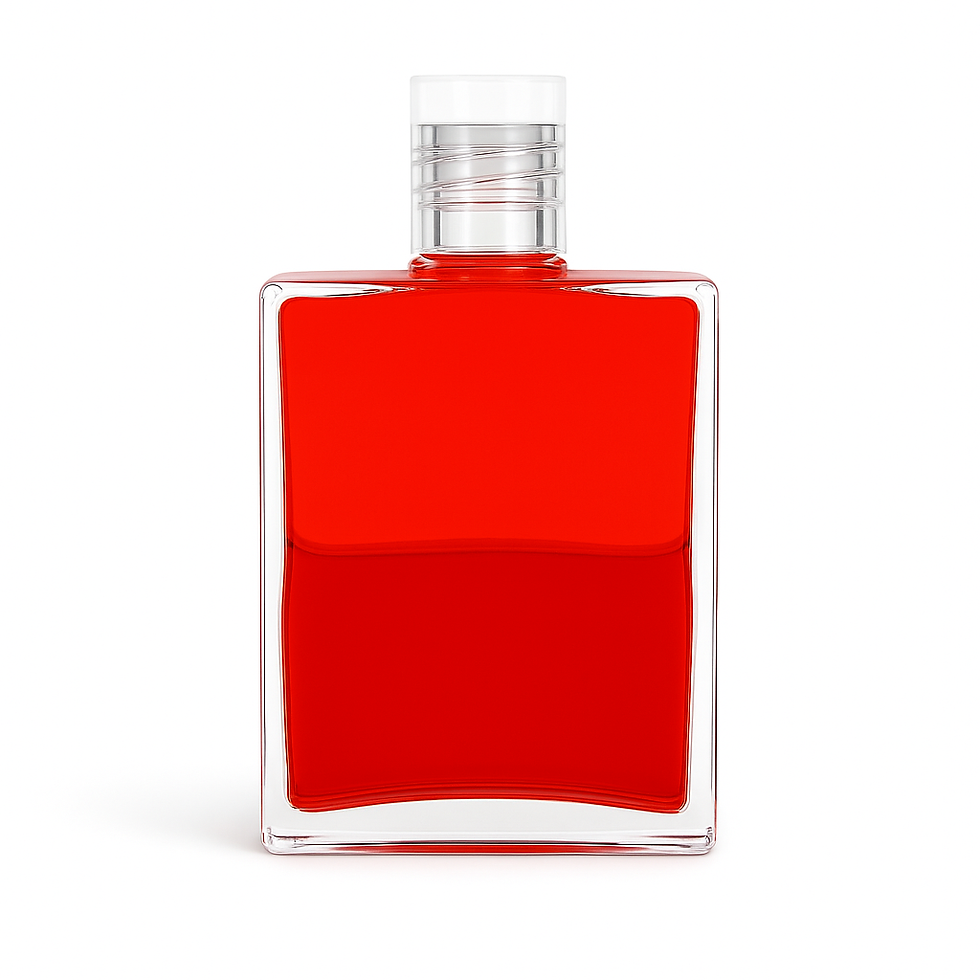 EQUILIBRIUM B06 - Rot / Rot