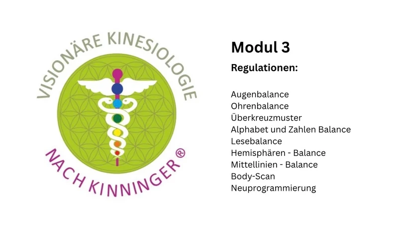 Modul 01 Regulation