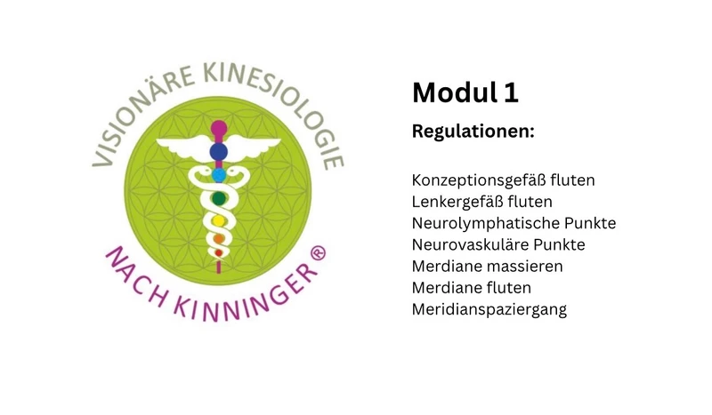 Modul 01 Regulation