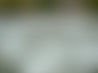 Top Event Rentals for Memorable Gatherings