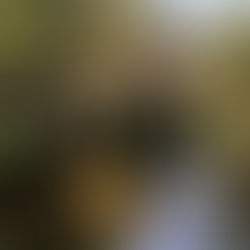 VICTOR EHIKAHAMENOR: A WRESTLE WITH THE BOGEYMAN