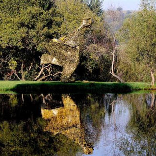 VICTOR EHIKAHAMENOR: A WRESTLE WITH THE BOGEYMAN