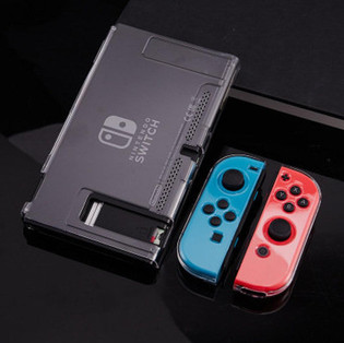 Case for Nintendo Switch