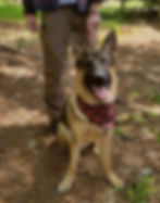 Thumbnail: Trainer Leash