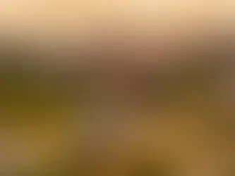 Diretoria do ICVC participa de encontro em Brasília